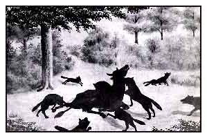 les loups ,affamés attaquent la pauvre bête et la dévore très rapidement